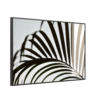 STEINFELD Deko Glas Wandbild Motiv 046 Palmblatt