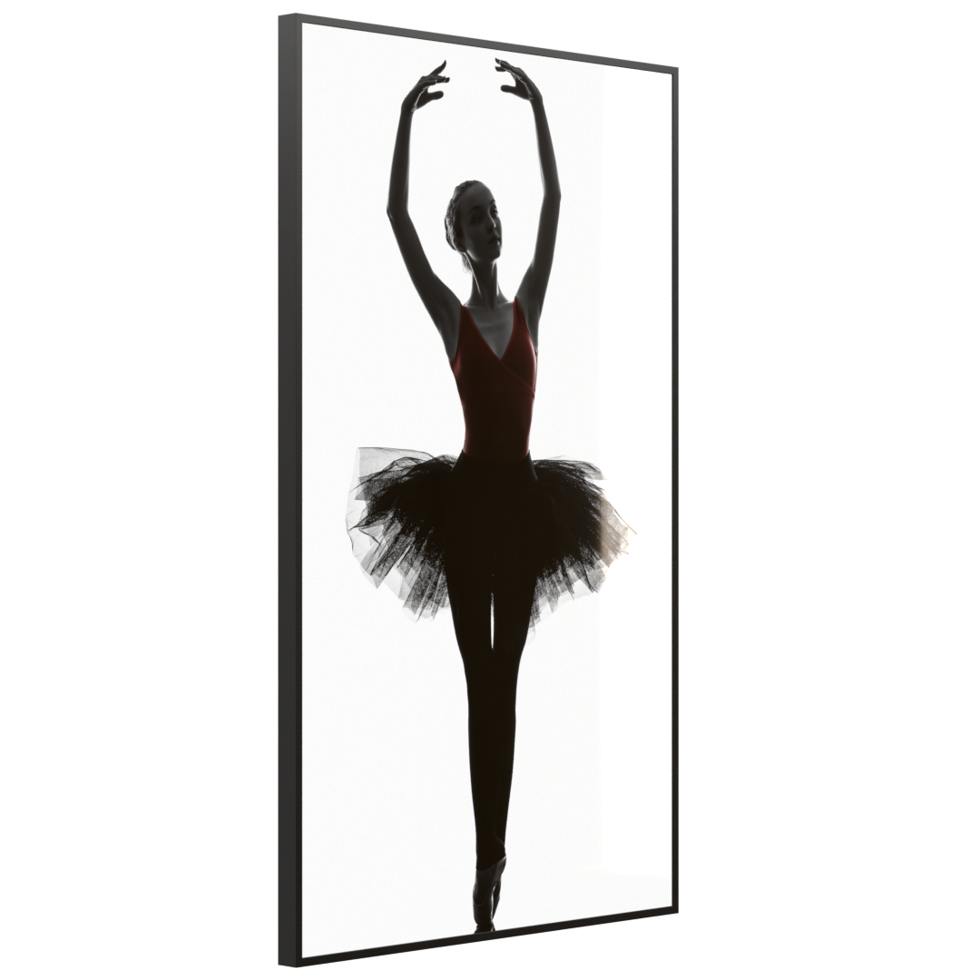 STEINFELD Glas Infrarotheizung 350-1200W Motiv 049H Ballerina