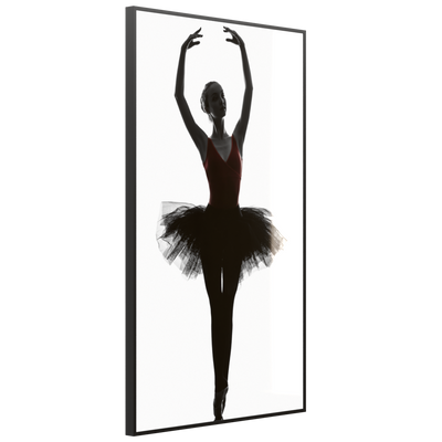 STEINFELD Glas Infrarotheizung 350-1200W Motiv 049H Ballerina