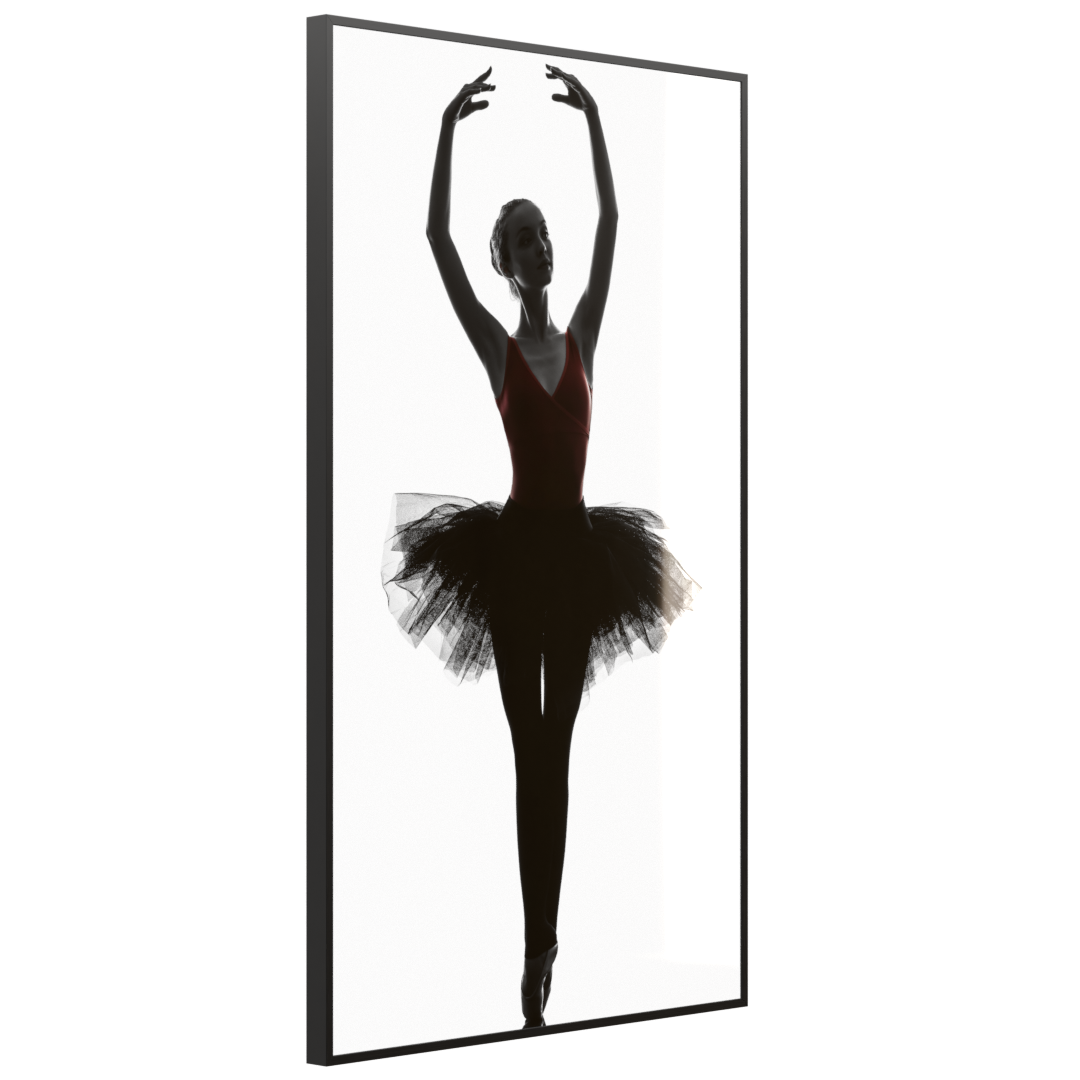 STEINFELD Deko Glas Wandbild Motiv 049H Ballerina