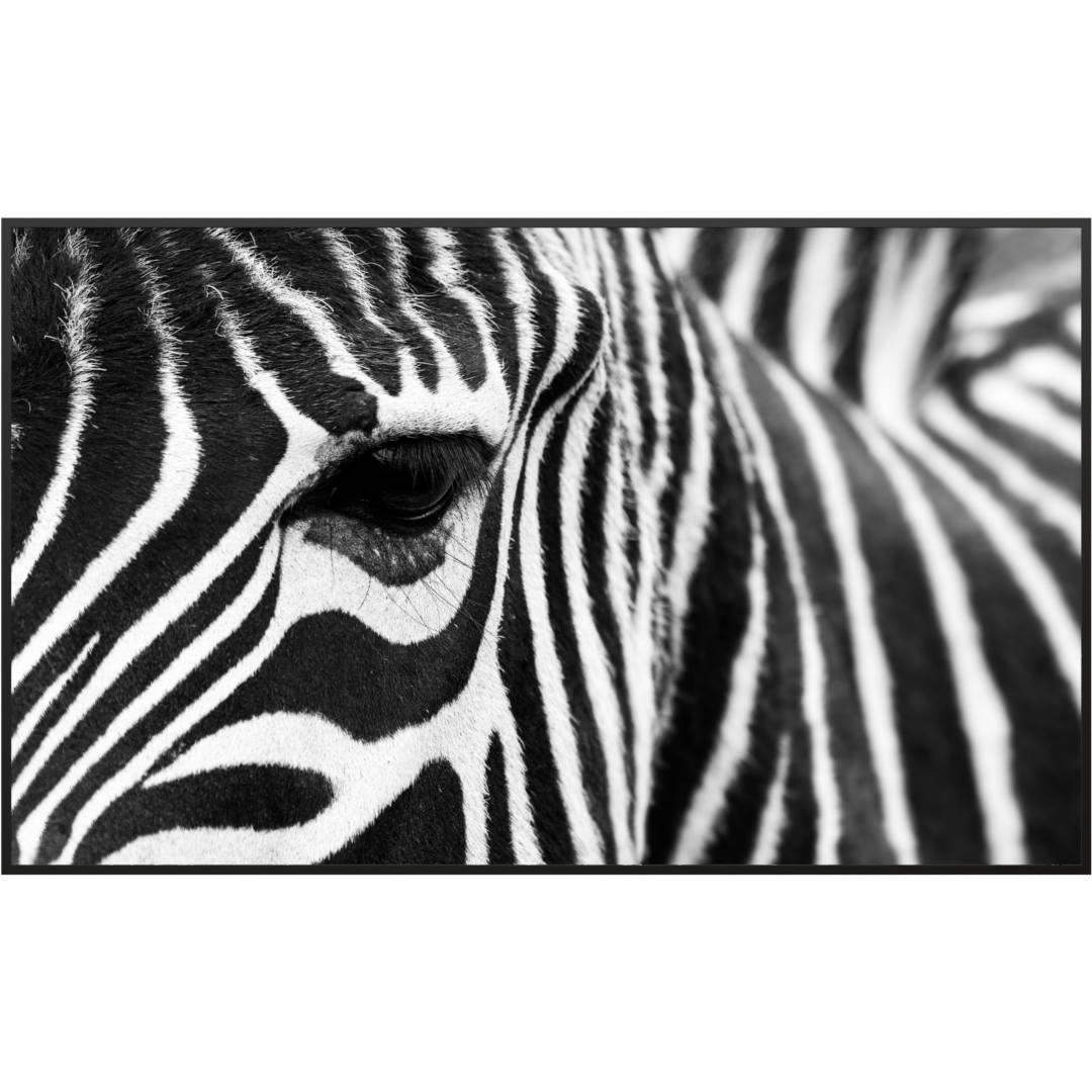 Glas Infrarotheizung 350-1200W Motiv 050 Zebra