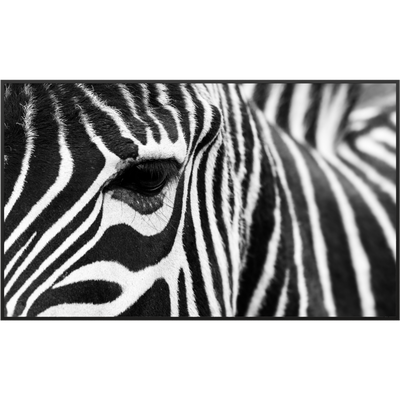 STEINFELD Glas Infrarotheizung 350-1200W Motiv 050 Zebra