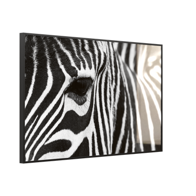 STEINFELD Glas Infrarotheizung 350-1200W Motiv 050 Zebra