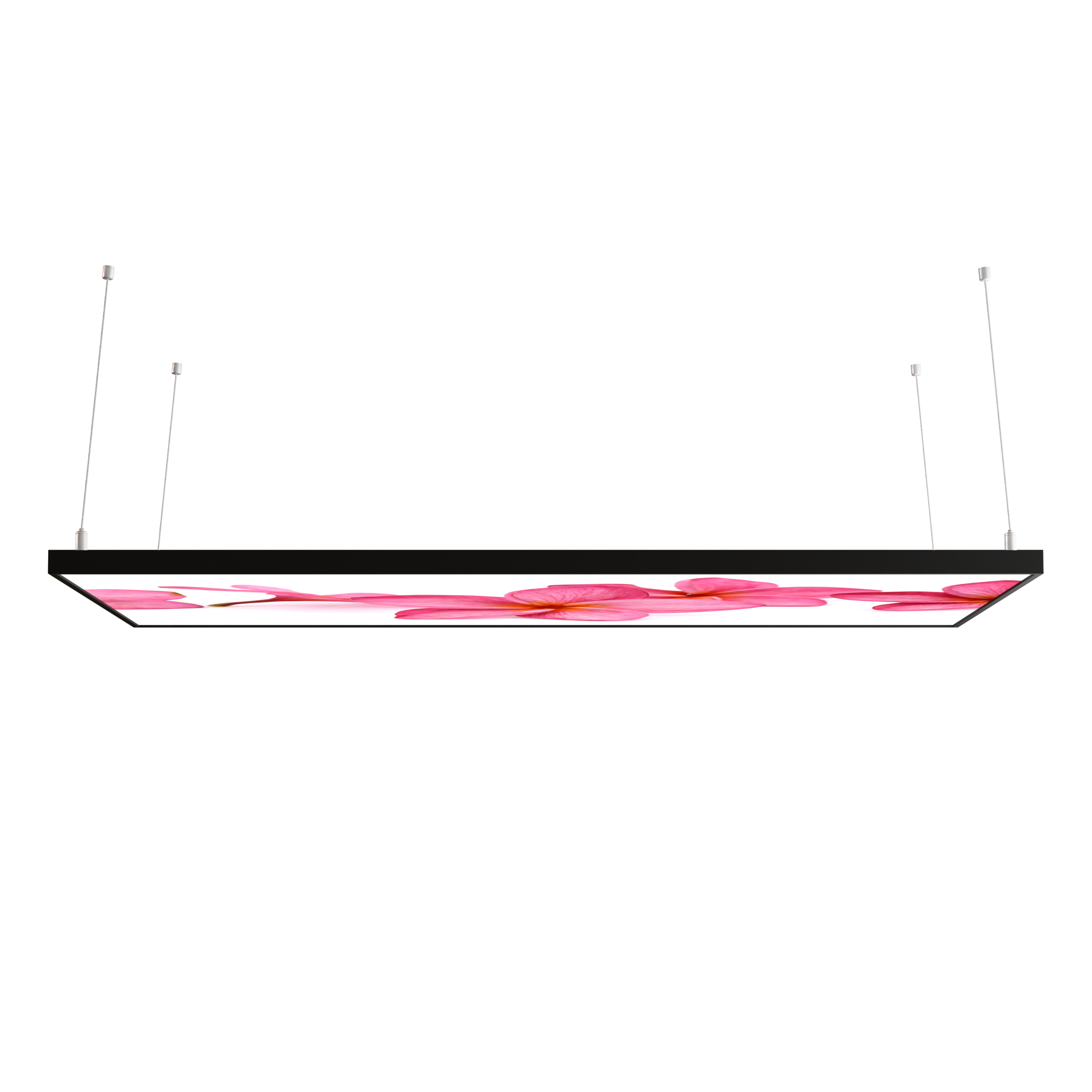 STEINFELD Decken Infrarotheizung 350-1200W Motiv 053 Pink Frangipani