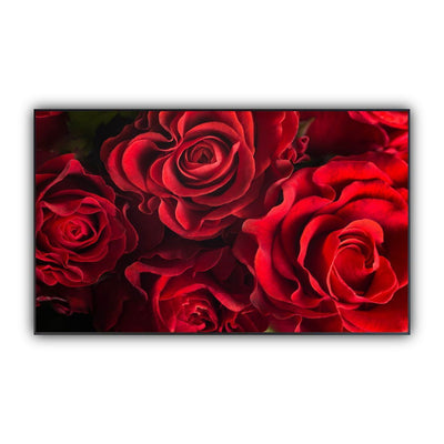 STEINFELD Bild Infrarotheizung 350-1200W Motiv 056 Rote Rosen