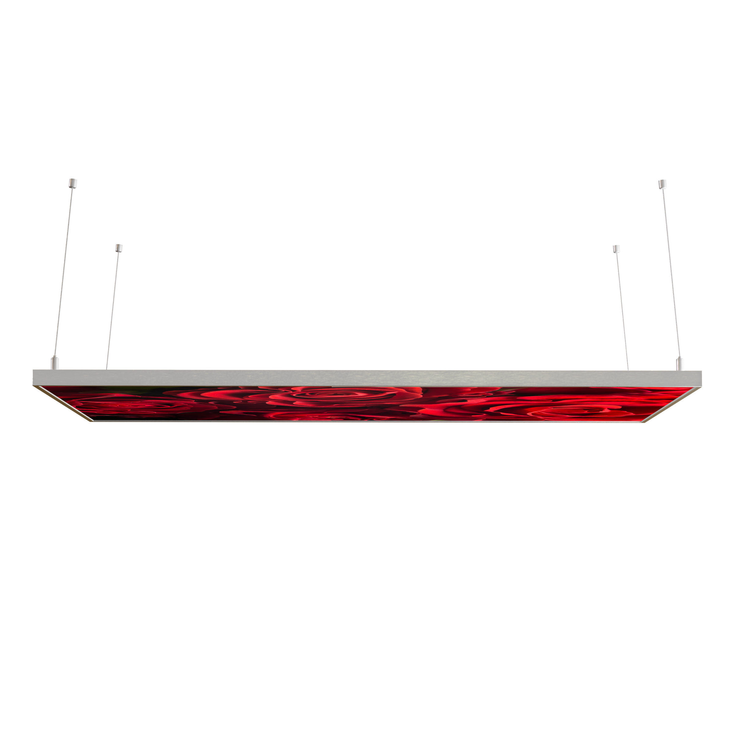 STEINFELD Decken Infrarotheizung 350-1200W Motiv 056 Rote Rosen