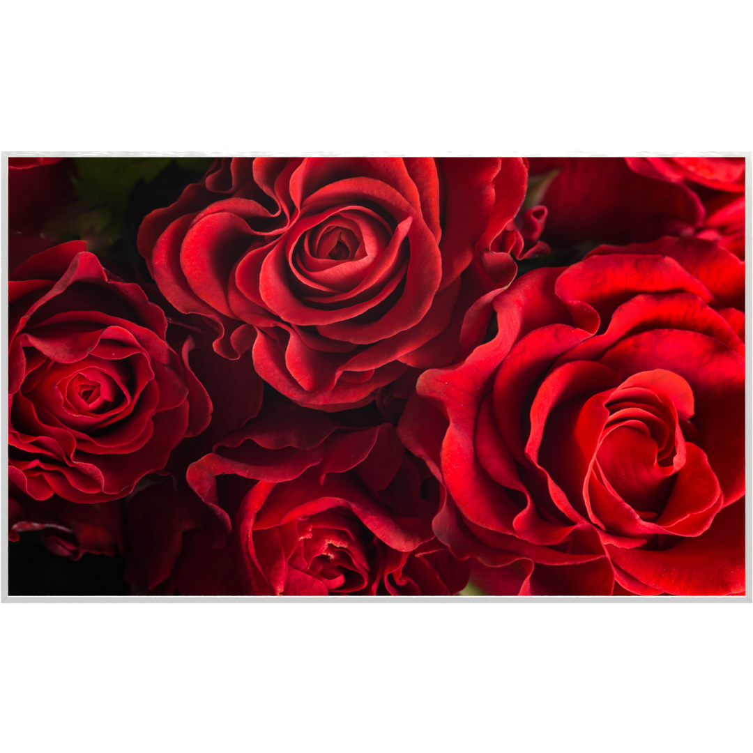 STEINFELD Bild Infrarotheizung 350-1200W Motiv 056 Rote Rosen