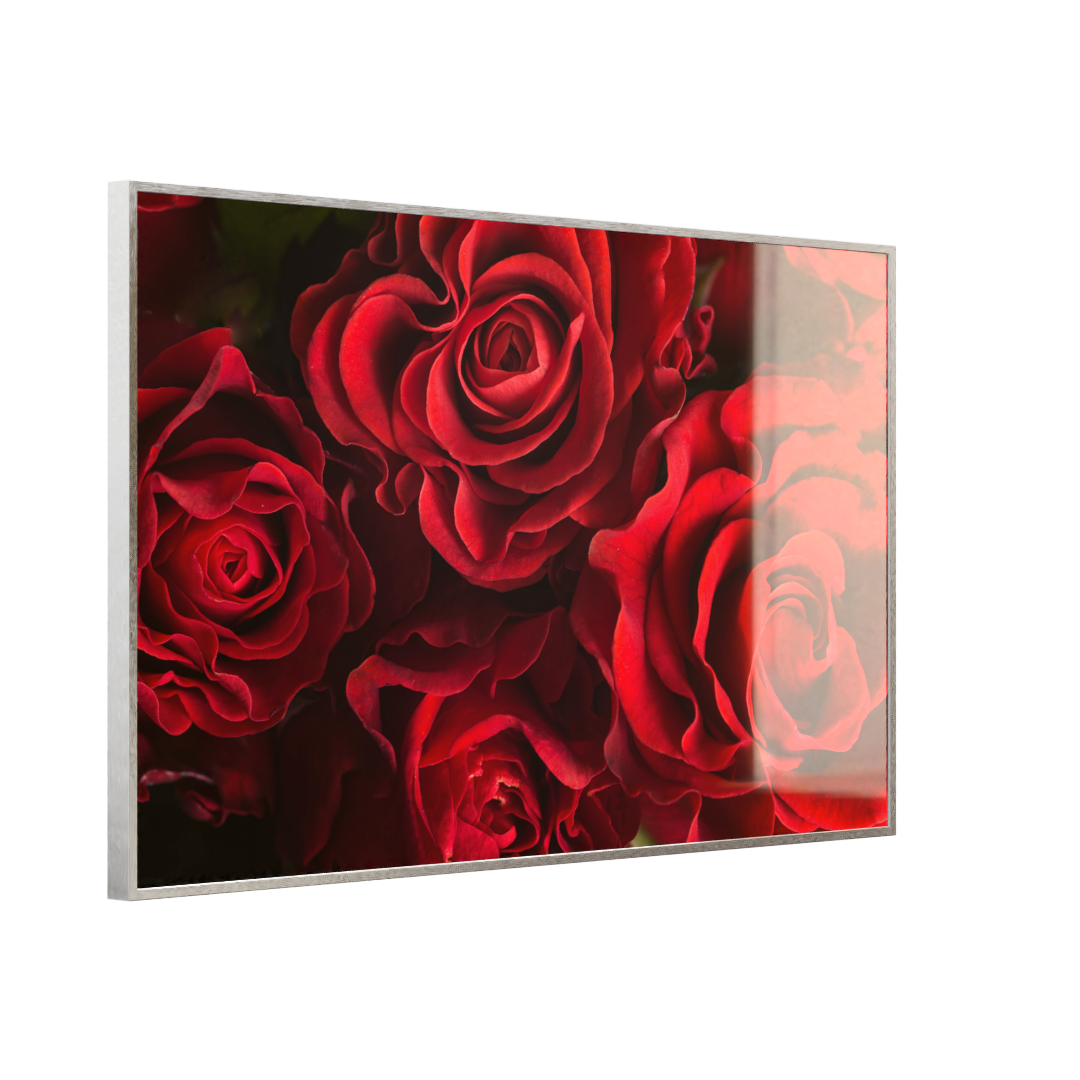 Deko Glas Wandbild Motiv 056 Rote Rosen