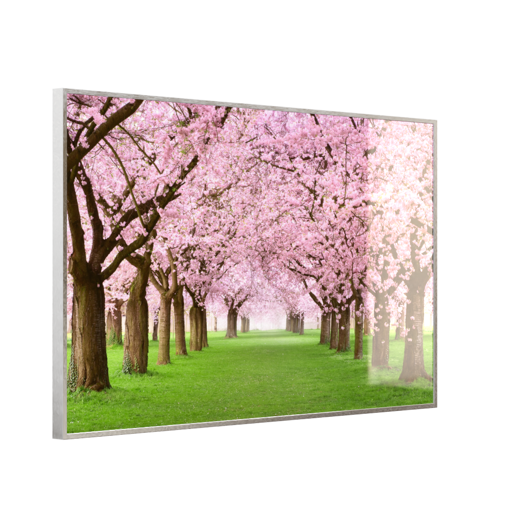 Deko Glas Wandbild Motiv 058 Kirschbäume Allee