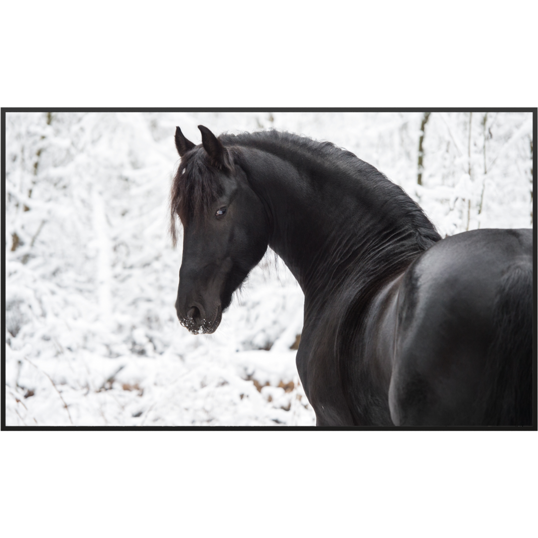 Bild Infrarotheizung 350-1200W Motiv 060 schwarzes Pferd