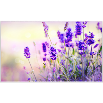 STEINFELD Glas Infrarotheizung 350-1200W Motiv 061 Lavendel