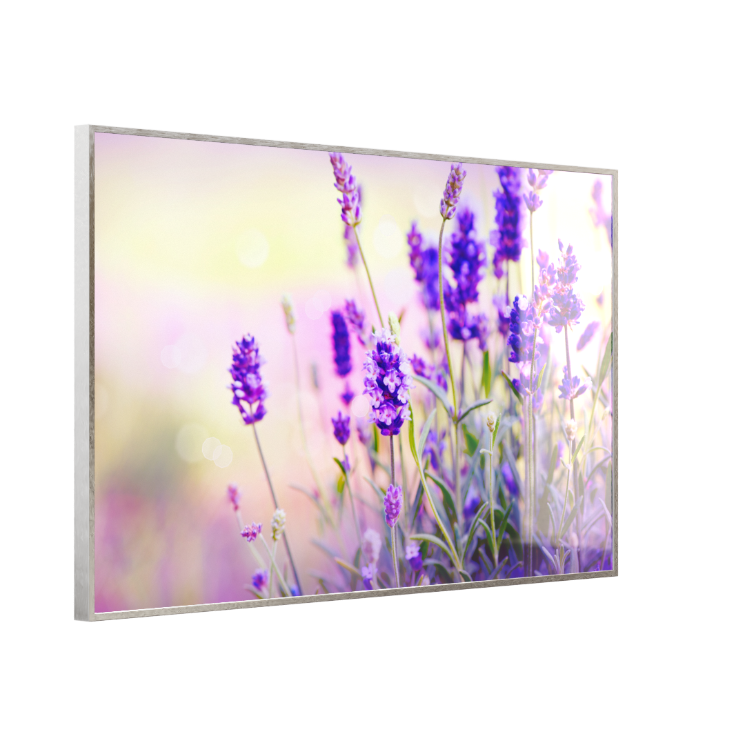 Glas Infrarotheizung 350-1200W Motiv 061 Lavendel
