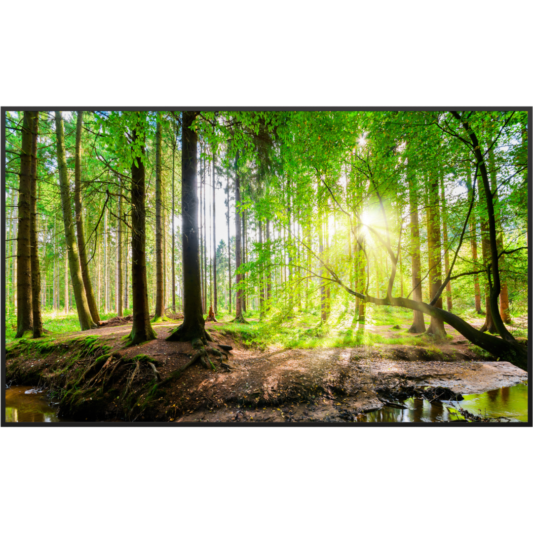 Bild Infrarotheizung 350-1200W Motiv 067 Wald Panorama