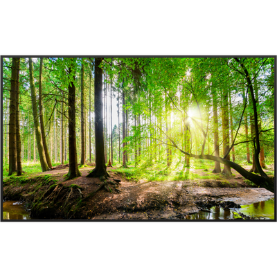 STEINFELD Bild Infrarotheizung 350-1200W Motiv 067 Wald Panorama