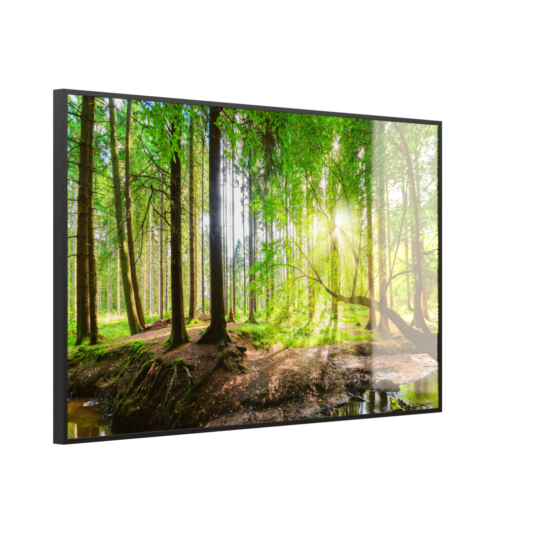 Deko Glas Wandbild Motiv 067 Wald Panorama